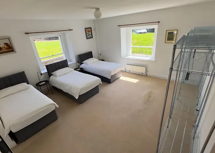 Montebello 基利尼